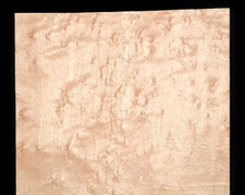 Birdseye Maple Raw Wood Veneer Sheet 6.5 x 41 inches 1/42nd 35136-63