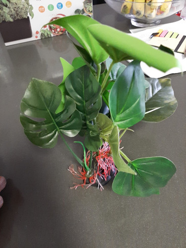 Aquarium Plant Decoration approx 10 Inches Tall - Bild 4 von 5