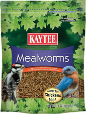 Wild Bird Food Mealworms for Bluebirds, Wrens, Robins, Chickadees, Woodpeckers,