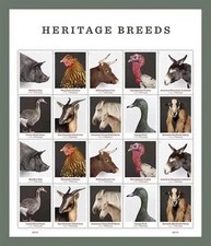 ANIMALS  NATURE - 1 sheet