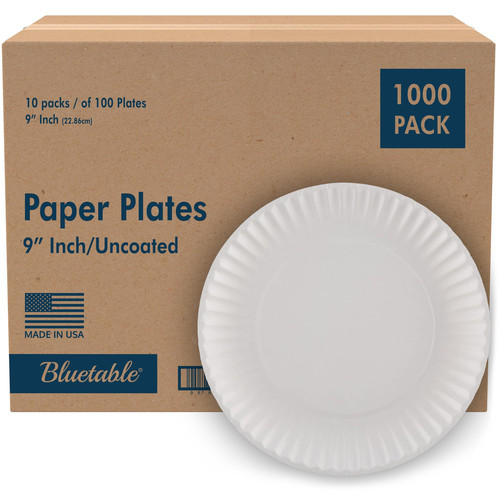 9 Inch Paper Plates Bulk – 1000 Count - Uncoated White 9” Dinner Plate Pizza ...