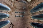 FINE TURQUOISE AND SILVER NAVAJO PIN BROOCH – HARRY MORGAN — photo 8