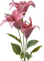 Clayre & Eef 6PL0337P Deko Zweig Mit Blumen Rosa GrüN 15X10X72 Cm