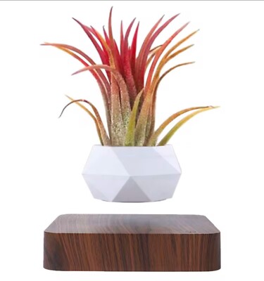 Magnetic Levitating Plant Pot - 360° Rotating Bonsai Planter for Modern Decor