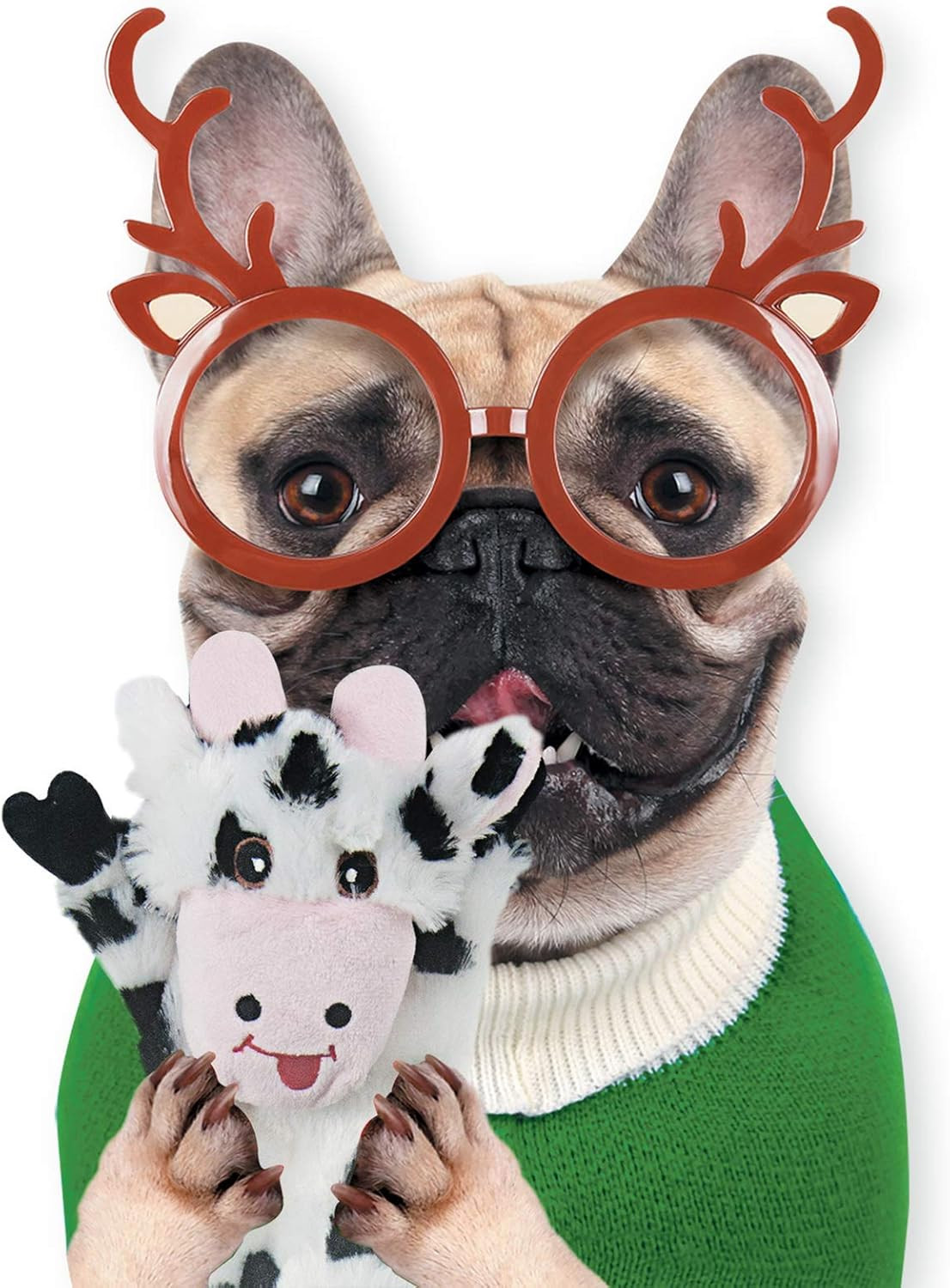 Dog Squeaky Toys 5 Pack, Pet Crinkle Toy No Stuffing Animals Plush, Dog Chew for