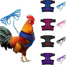 4 Pcs Adjustable Chicken Harness with Leash- 4 Styles Medium, 4