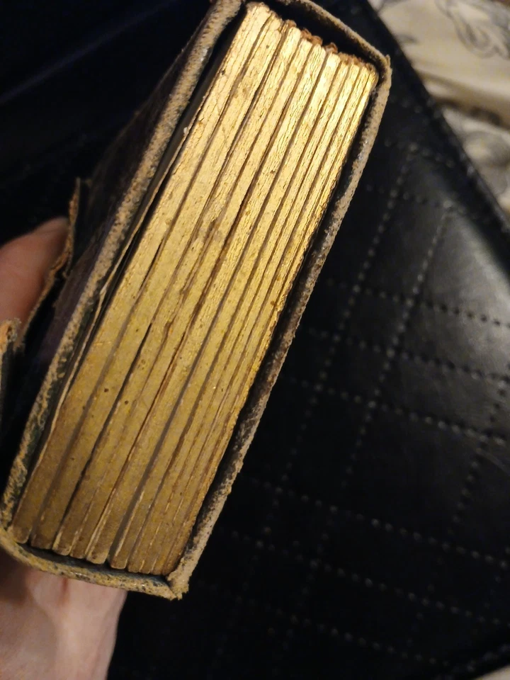 Victorian Era Tintype Photo Album With 18 Photos - Image 3 of 4