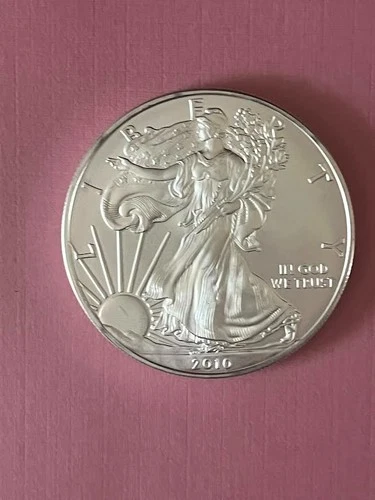 2010 American Silver Eagle $1 Coin 1 Troy Oz Fine Silver