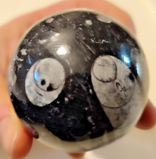 SFERA FOSSILE DI ORTHOCERAS-LUCIDATA-DIAM. 12 CM PESO: 302 g