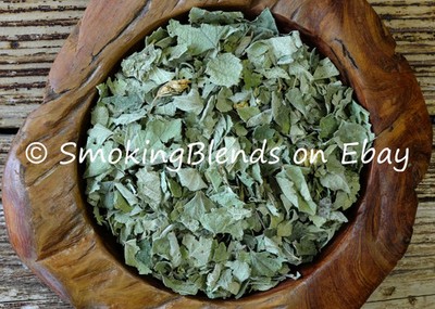 Calea Zacatechichi | Ternifolia | Mexican Dream Herb | Leaf | Bulk | Powder