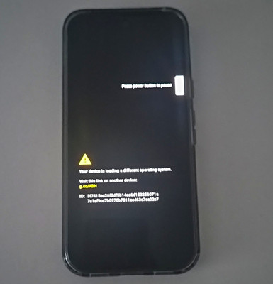 Google Pixel 10 128GB Smartphone GrapheneOS Obsidian (Gebraucht)