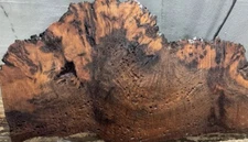 12121 AFZELIA XYLAY BURL,WOOD TURNING,BOWL,CRAFT,JEWELRY MAKING,PENBLANK,TOOLHND
