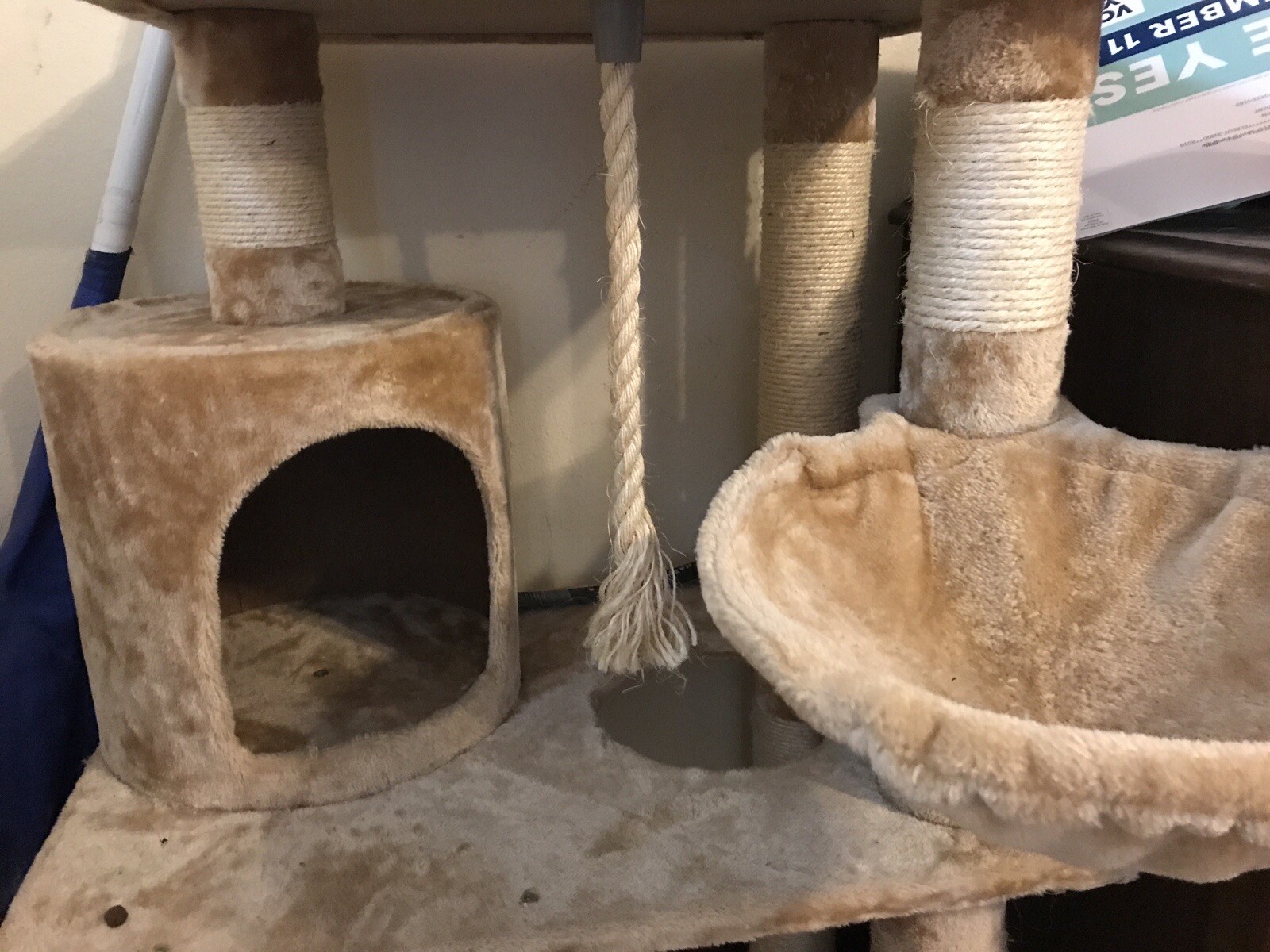 KITTY MANSION/CAT TREE Tower And Scratcher 62" TALL Beige eBay