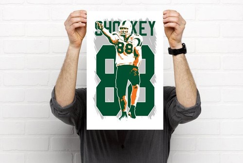 JEREMY SHOCKEY art print/poster MIAMI HURRICANES FREE S&H! JERSEY - Picture 3 of 6