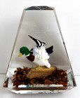 Vintage Hand Carved Painted MallardDuck Lucite/Acrylic Unique Canada Paperweight — photo 1
