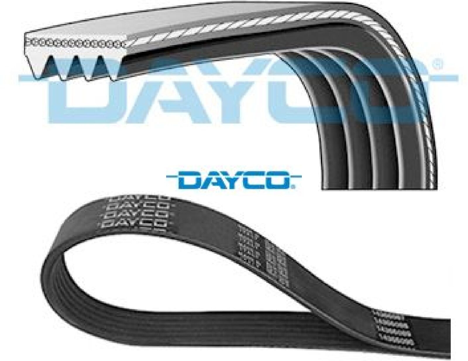 DAYCO 4PK736 Keilrippenriemen Keilriemen