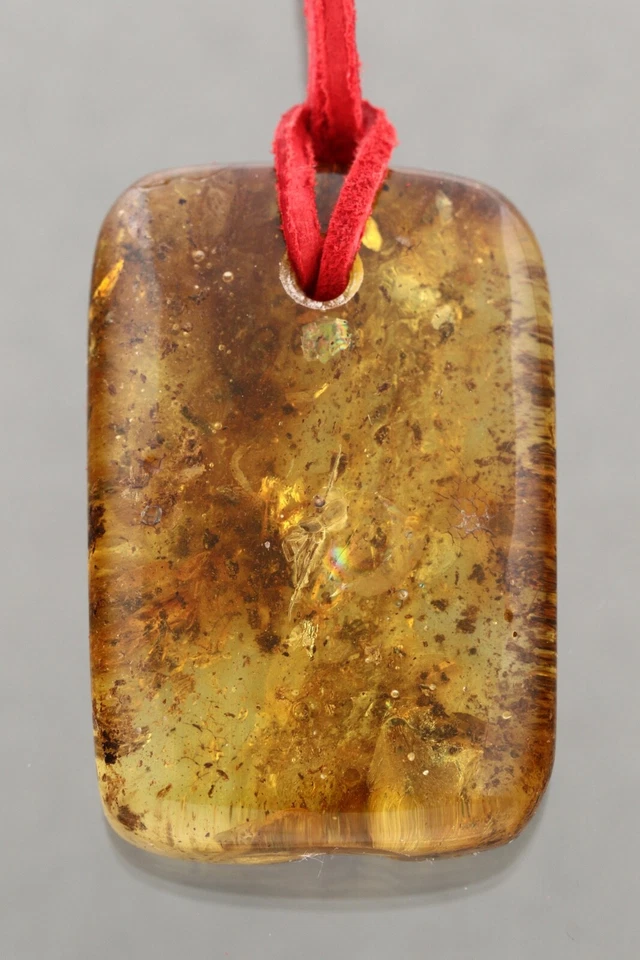 完好巨大蜘蛛化石波罗的海琥珀麂皮绒皮革吊坠 14.5 克 50225-2 — 第 3/4 张图片