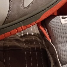 Size 11 - Nike Dunk Pro SB Low Futura