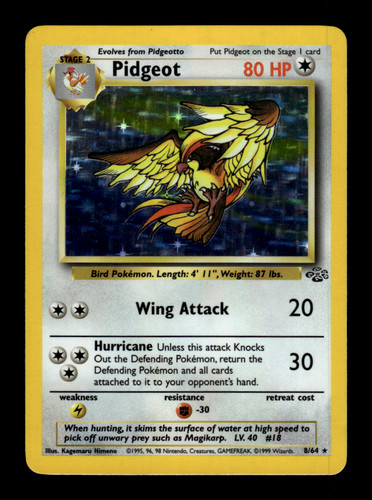Pidgeot — Jungle