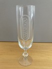 Saratoga Spring Water Engraved/Etched Stemmed Champagne Glass Souvenir — photo 1