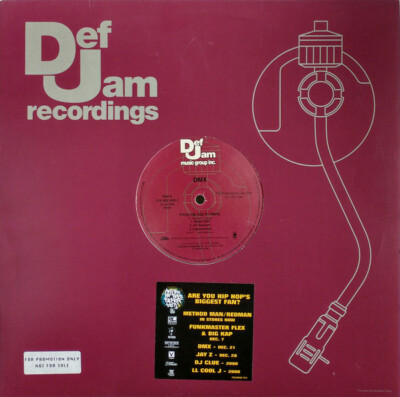 DMX - Party Up (Up In Here) (12'', Promo)