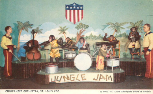 Postcard Jungle Jam Monkey Band Chimpanzee Orchestra St. Louis Zoo