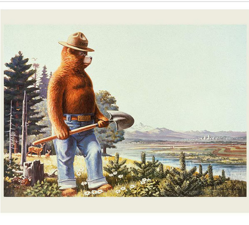 FRIENDS OF SMOKEY BEAR PANEL BY RILEY BLAKE OUTDOOR NATURE FABRIC 35.5"X43"