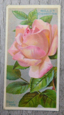 Wills's A Series of Roses Cigarettes Tobacco Trade Card Vintage No. 24 Dean Hole