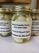 Pickled Quail Eggs  Pint 