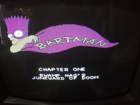 The Simpsons Bartman Meets Radioactive Man (IC CHIP) RARE!!! : FAMICOM / NES