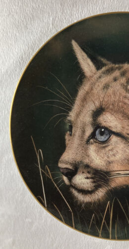 Cubs of the Big Cats COUGAR CUB Plate Princeton Gallery | eBay