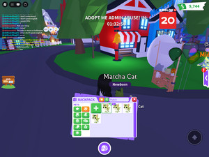 TradersCart Cattucino/Matcha Cat