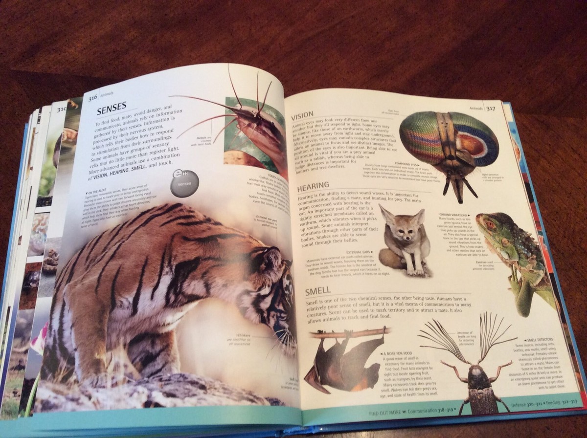 DK Google E.Encyclopedia: Science by DK Publishing ( 2004 DK Google E.Encyclopedia: Science by DK Publishing ( 2004