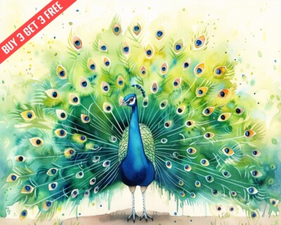 Peacock Displaying Feathers Watercolor 8x10 Print