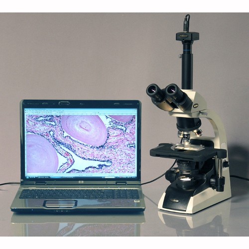 Microscopio biológico trinocular AmScope 40X-1000X Infinity Plan - Imagen 5 de 8