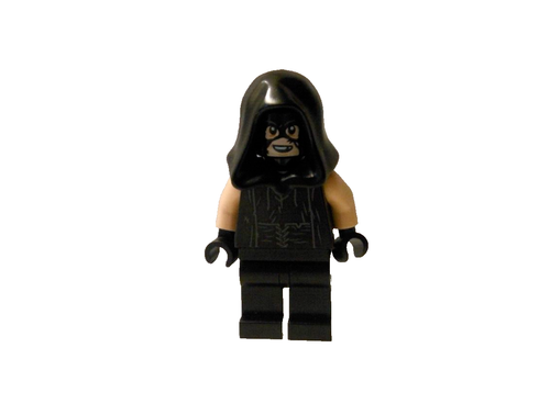 LEGO HARRY POTTER 75947 HAGRID'S HUT MINI FIGURE Buckbeak RESC Executioner HP183
