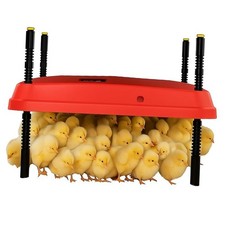 Adjustable 16x16 brooder Heating Plate for Baby Chicks, Providing Constant, red