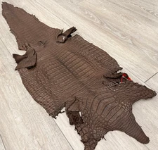BROWN Genuine Caiman Crocodile belly Hide Leather Skin real alligator Croc 484