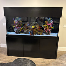 Mega flow glass aquarium 210 gallon with black wooden stand