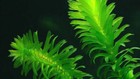 Foto 10 di 53