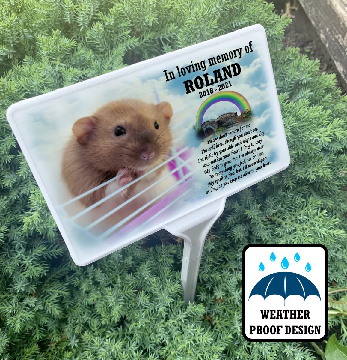Pet rat memorial sales