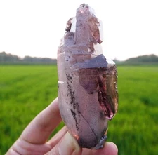 MUSEUM ! ELESTIAL SMOKY AMETHYST Scepter CRYSTAL W/ Phantom QUARTZ SPECIMEN