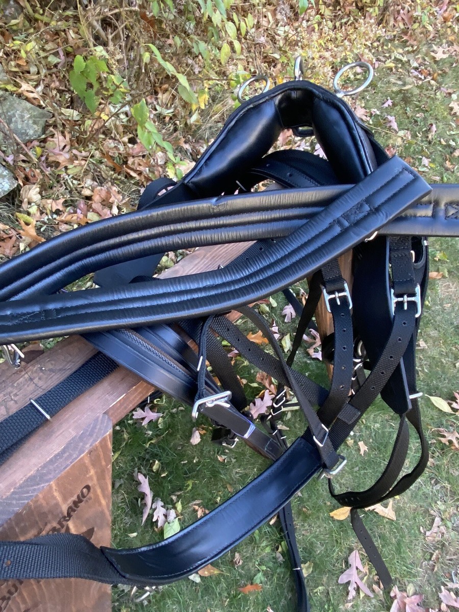 Harnais de transport pour trottinette électrique - Steedy Trott