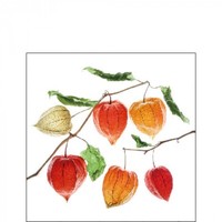 20 Papierservietten, Cocktail - Servietten Lampion Flower Ambiente 25X25Cm