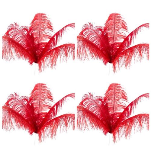 20 pièces plumes d'autruche naturelles - fête de mariage - décoration - rouge 20-25 cm N9L36762 - Photo 1/3