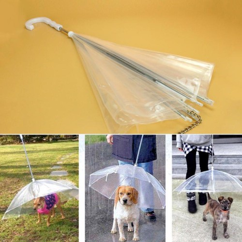 Outdoor Transparent Pet Umbrella Small Dog Rain Gear Keeps Pet Dry Useful - Afbeelding 1 van 9