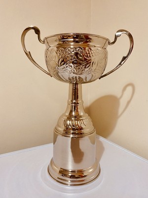   Silber Trophäe 9'' ungraviert Vintage gebraucht Pokal Auszeichnung ideale Anzeige Mehrzweck