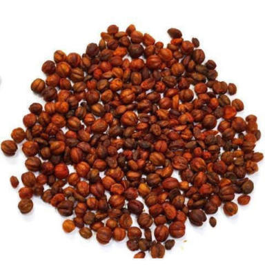 MALKANGNI CLIMBING STAFF TREE JYOTISHMATI CELASTRUS PANICULATUS SEED
