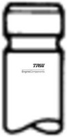 TRW Engine Component 261122 Einlassventil FüR Mercedes-Benz