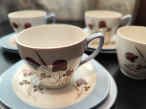 Copeland Spode Summer days 3 Trios Cup And Sugar Bowl 11 Piece Set - Picture 4 of 9